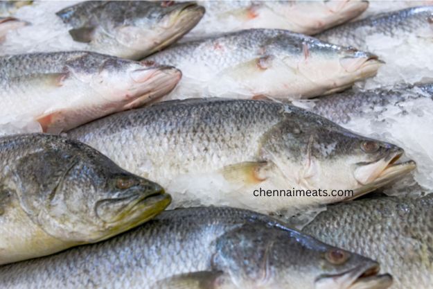 Vilai Meen - Emperor Lethrinus microdon fish for sale